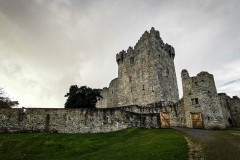 Ross Castle, Killarney, Co. Kerry